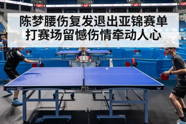 table tennis match action
