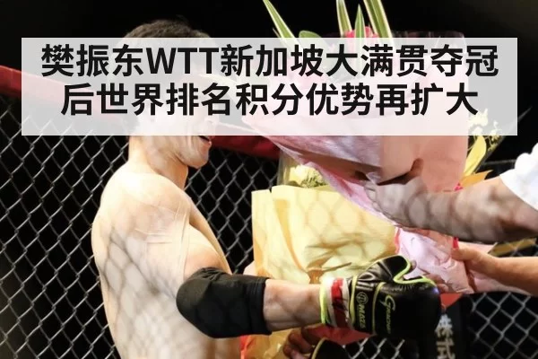 樊振东WTT新加坡大满贯夺冠后世界排名积分优势再扩大